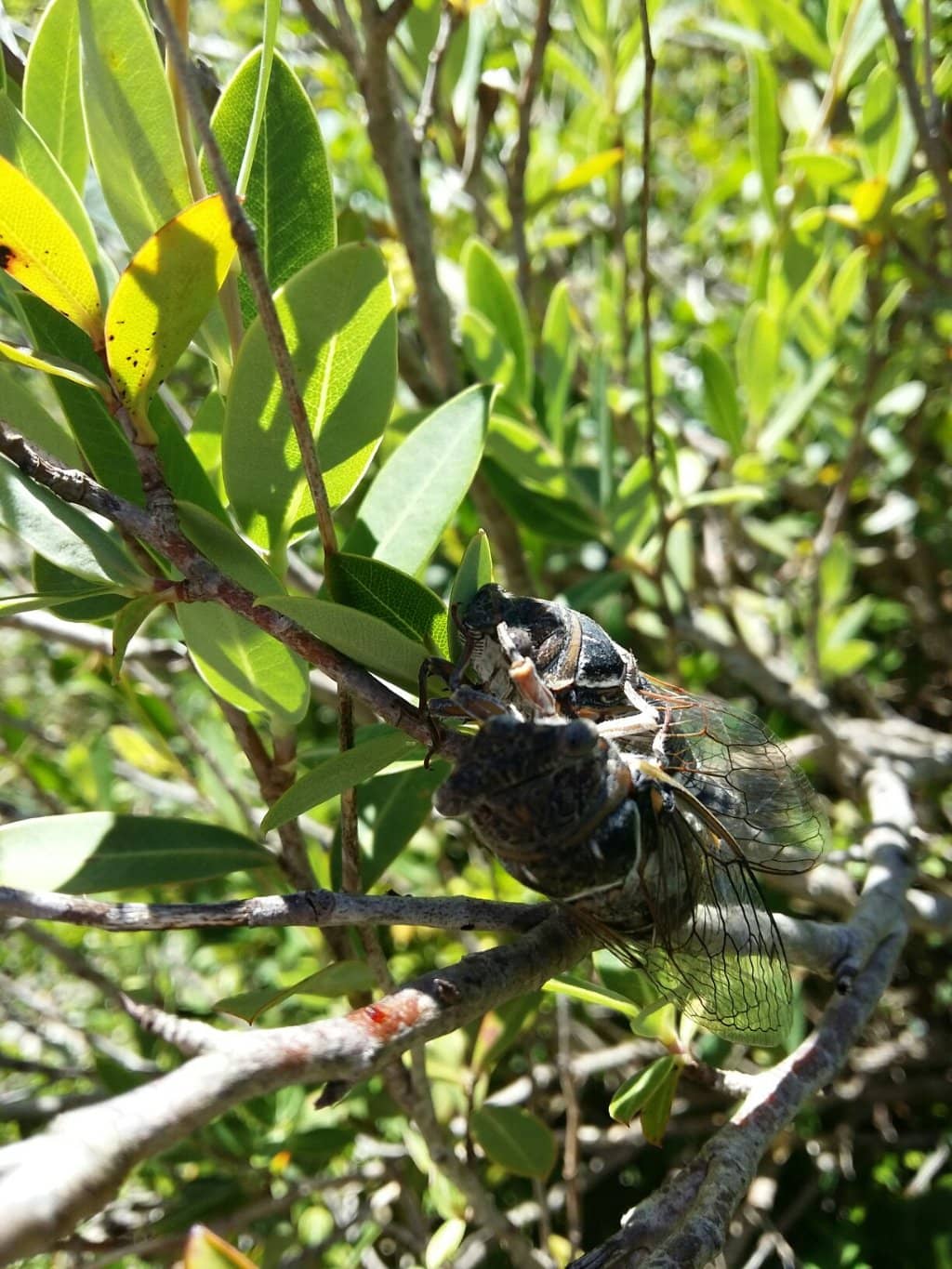 Historical Relocation