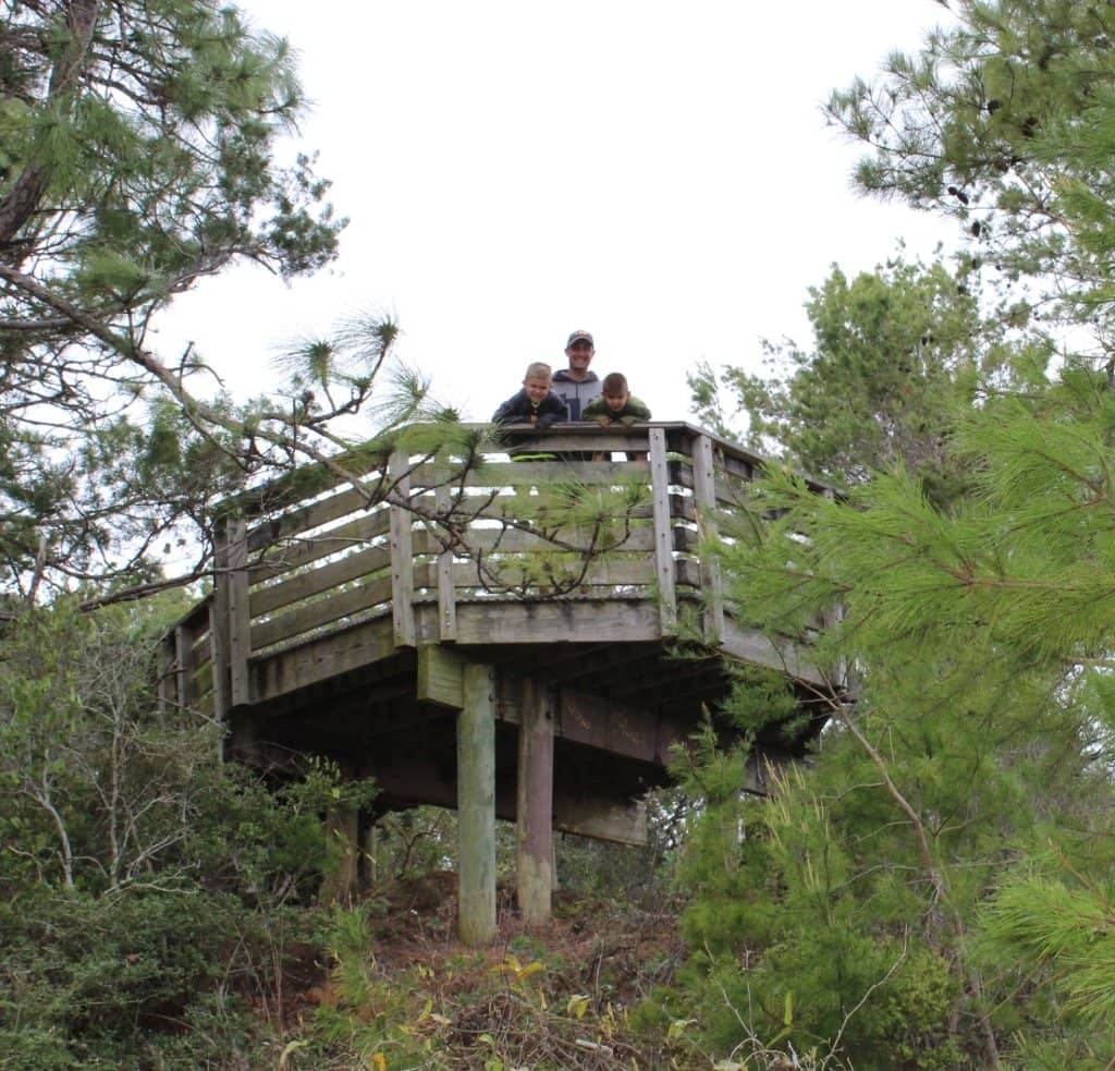 Scenic Boardwalk Views
