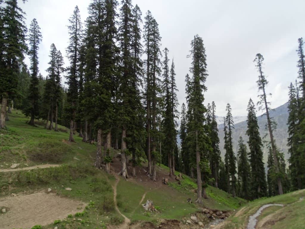 Panoramic Mountain Vistas