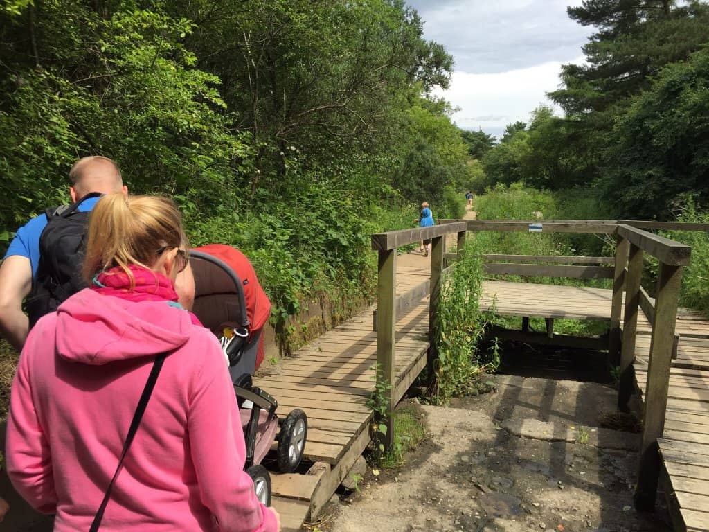 Coastal Beach Access