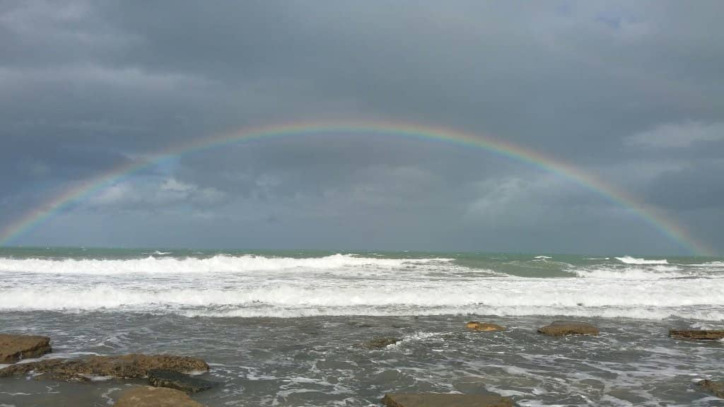 Rio Cunhaú Boat Tour