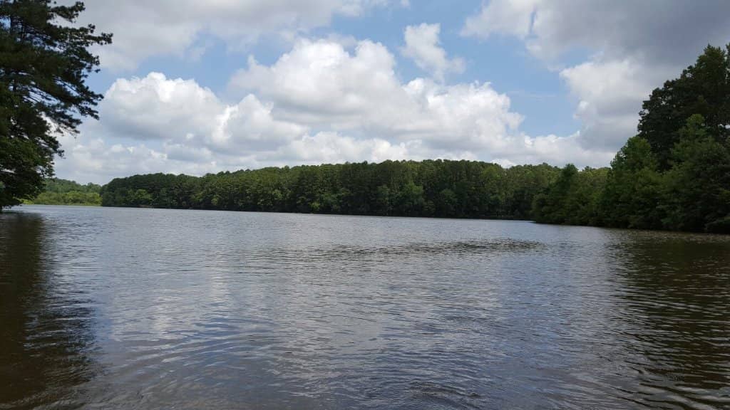 Kayaking and Canoeing