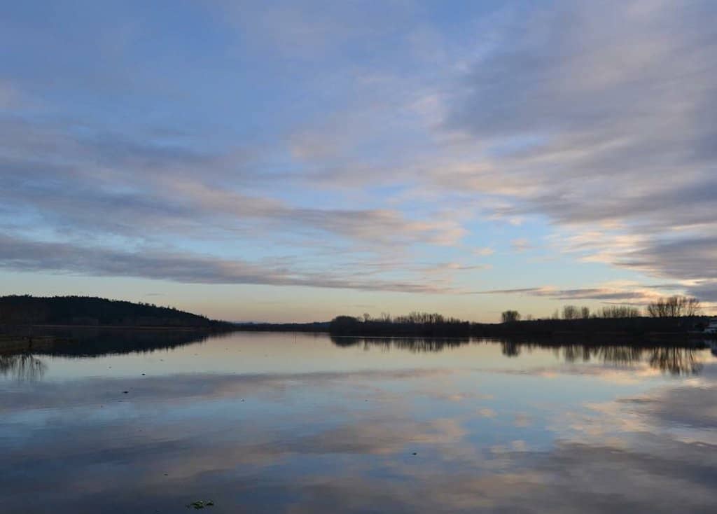 Birdwatching Opportunities