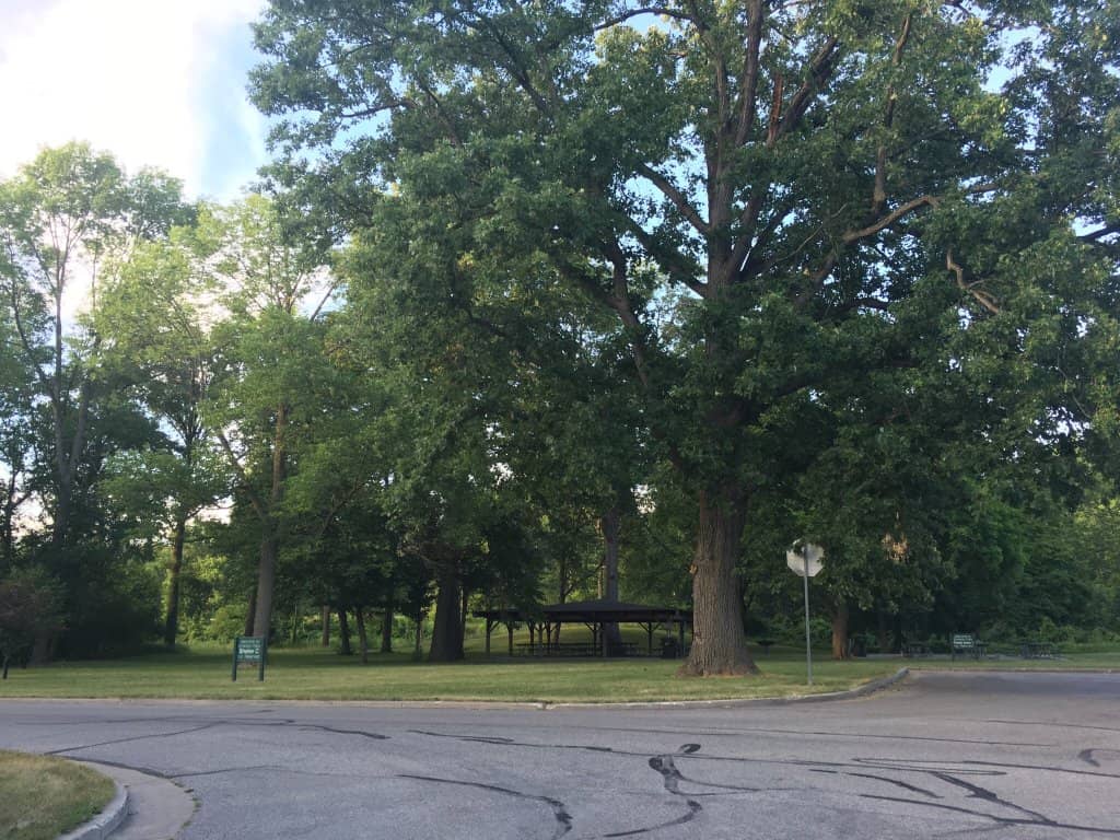 Family Gathering Pavilions