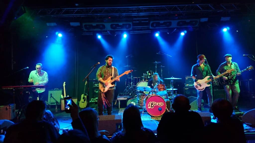 Live Music Performances