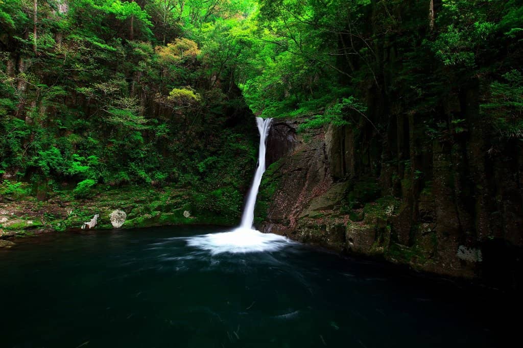Autumn Foliage Spectacle