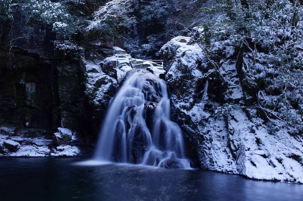 Ninja Training Ground History