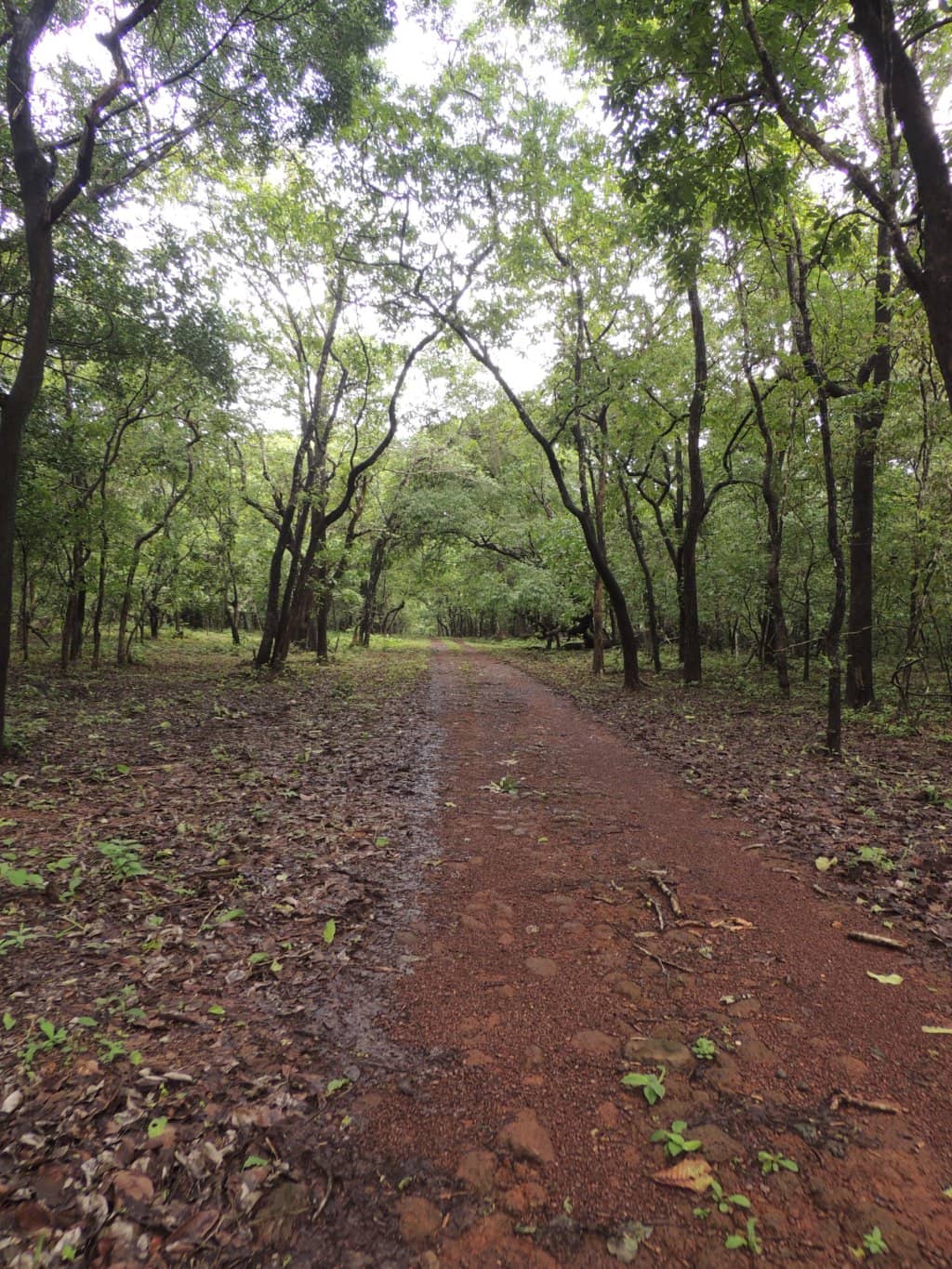 Nature's Harmony Homestay
