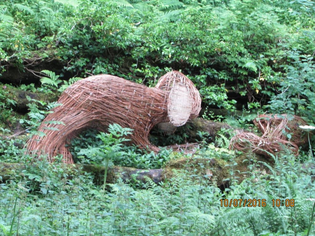 Visitor Centre & Cafe