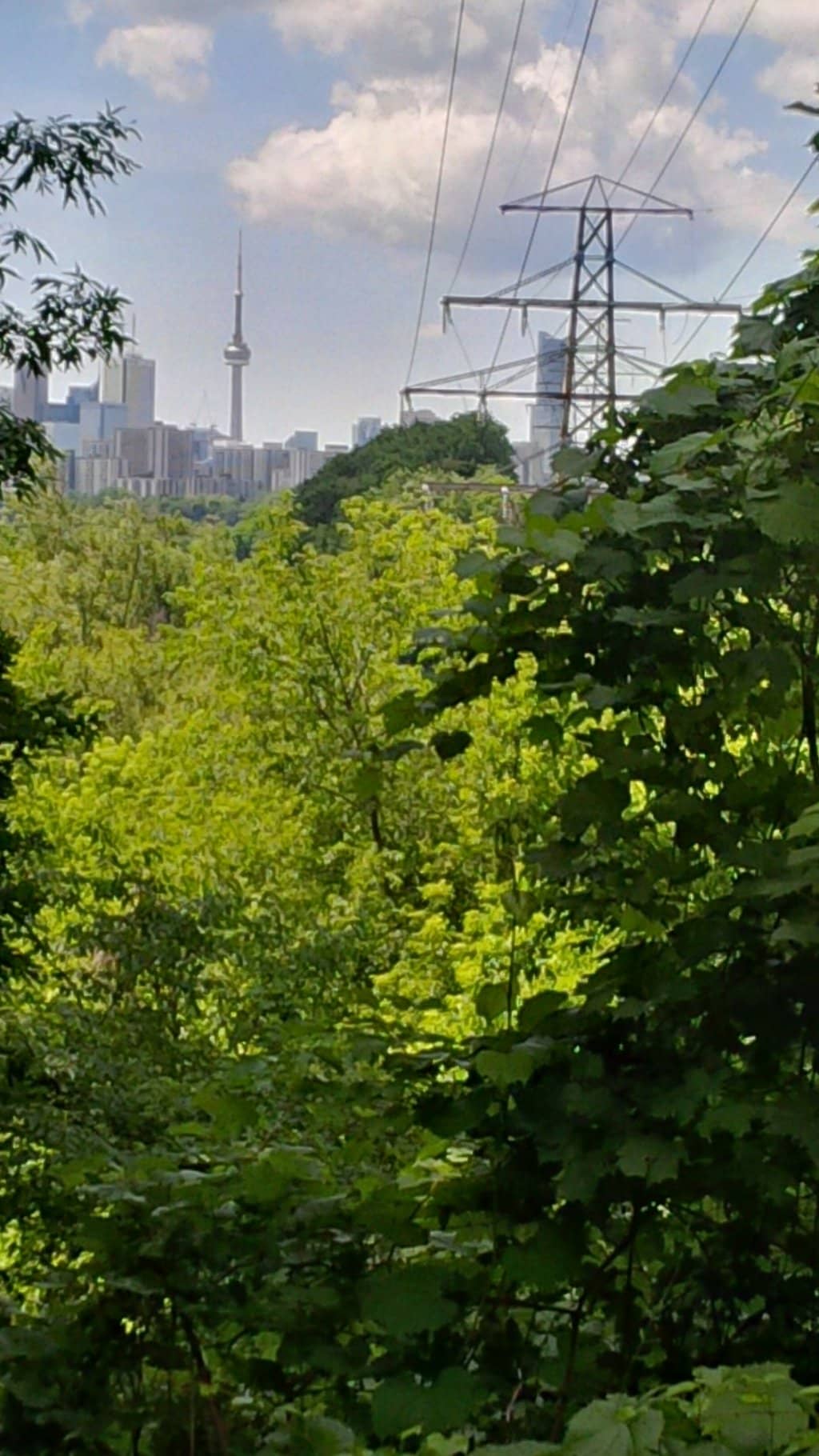 Don River Valley Ravines