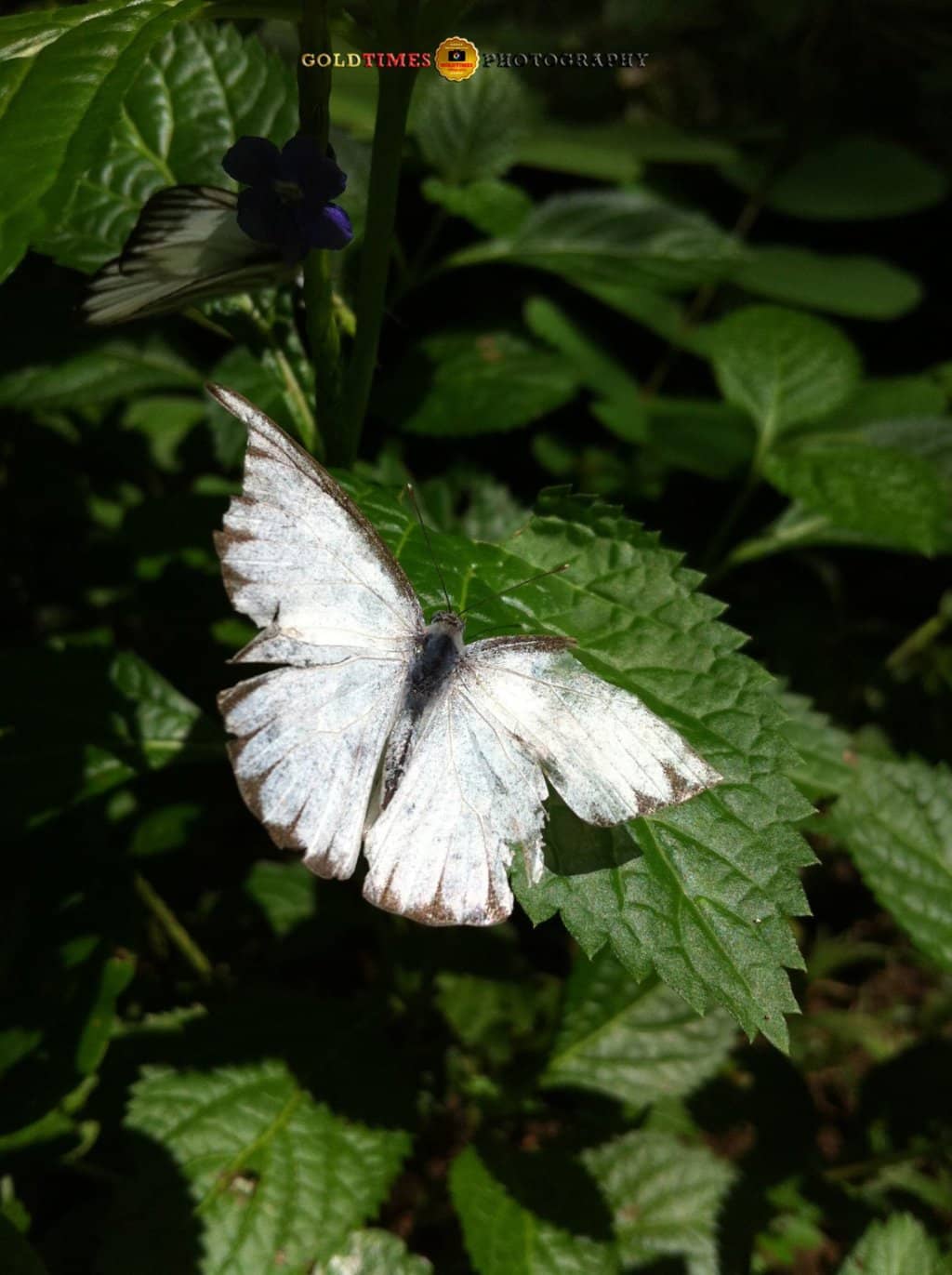 Instagrammable Spots