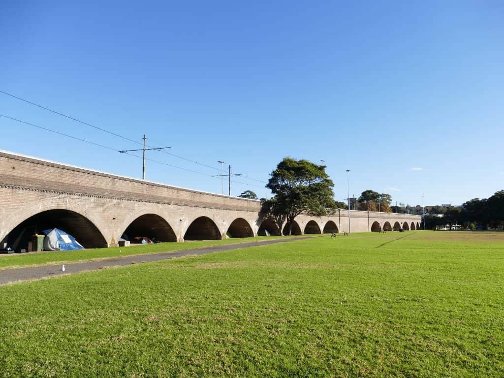 Green and Golden Bell Frog Habitat