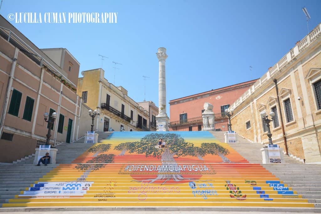 Jerash's Grand Colonnades