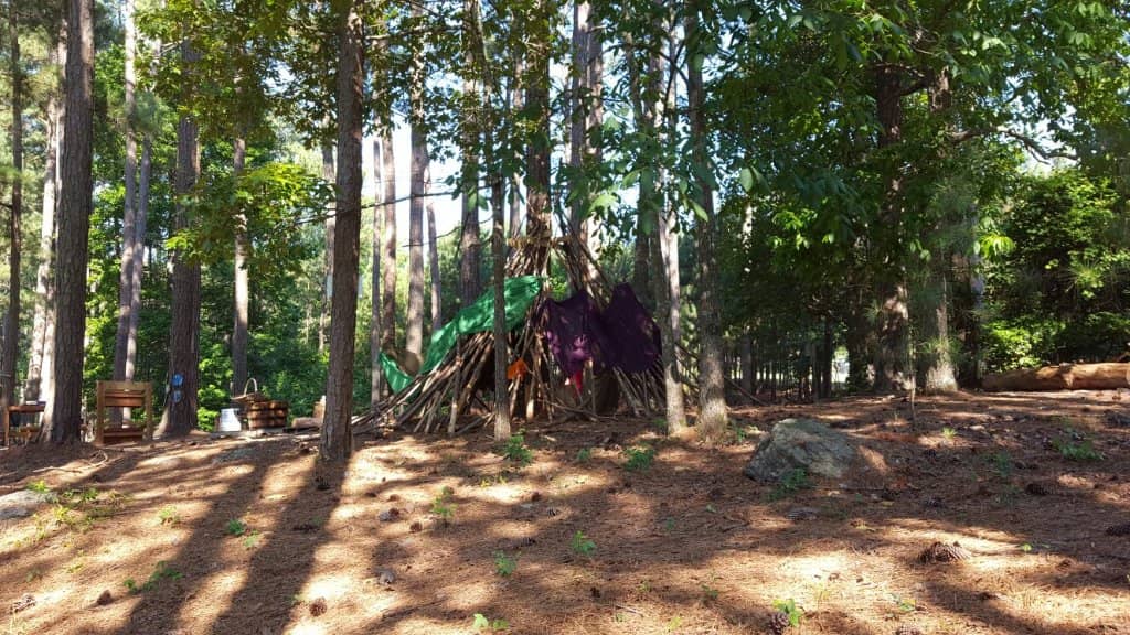 Lake Allatoona Shoreline