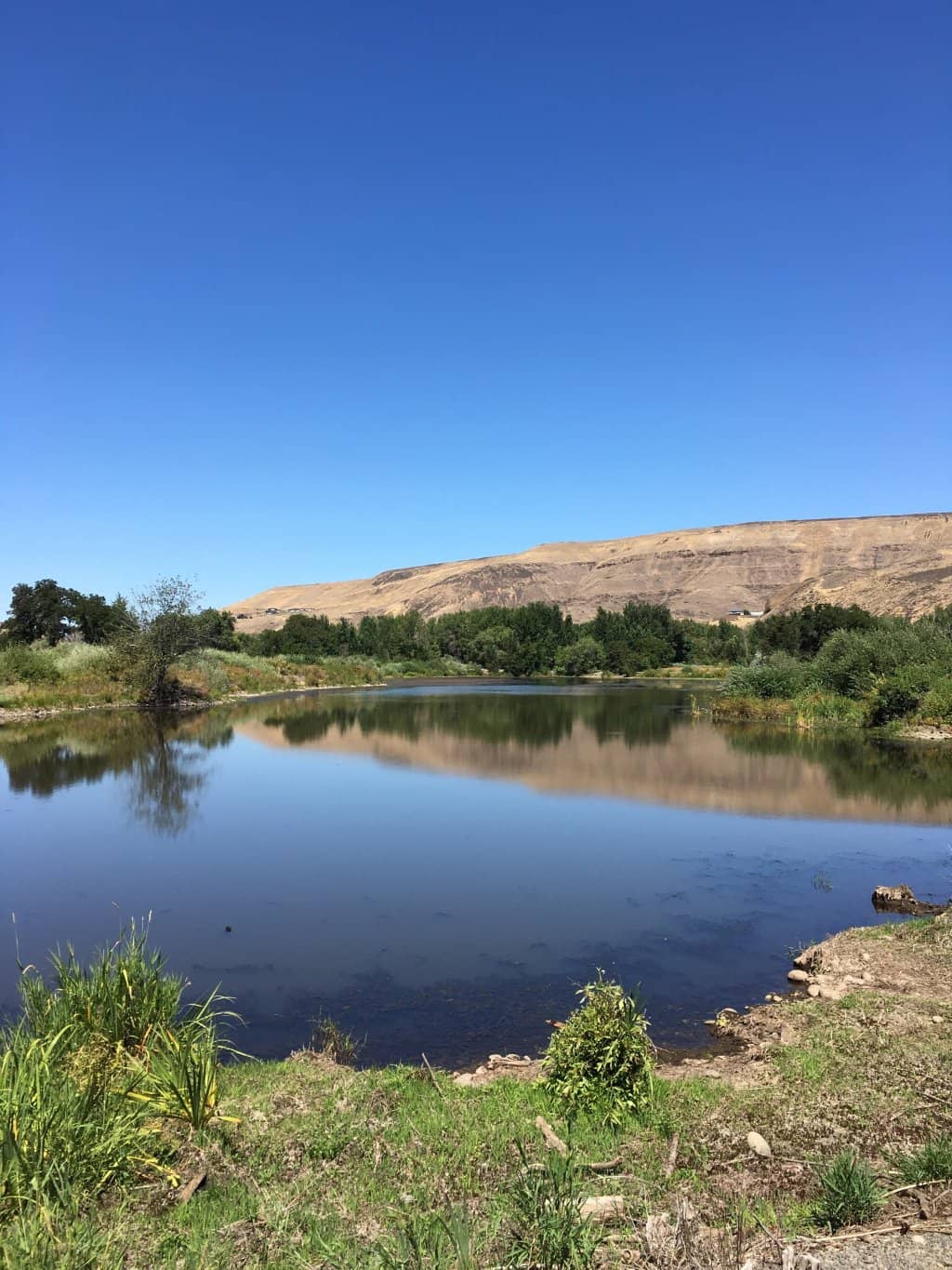 Playgrounds & Picnic Areas