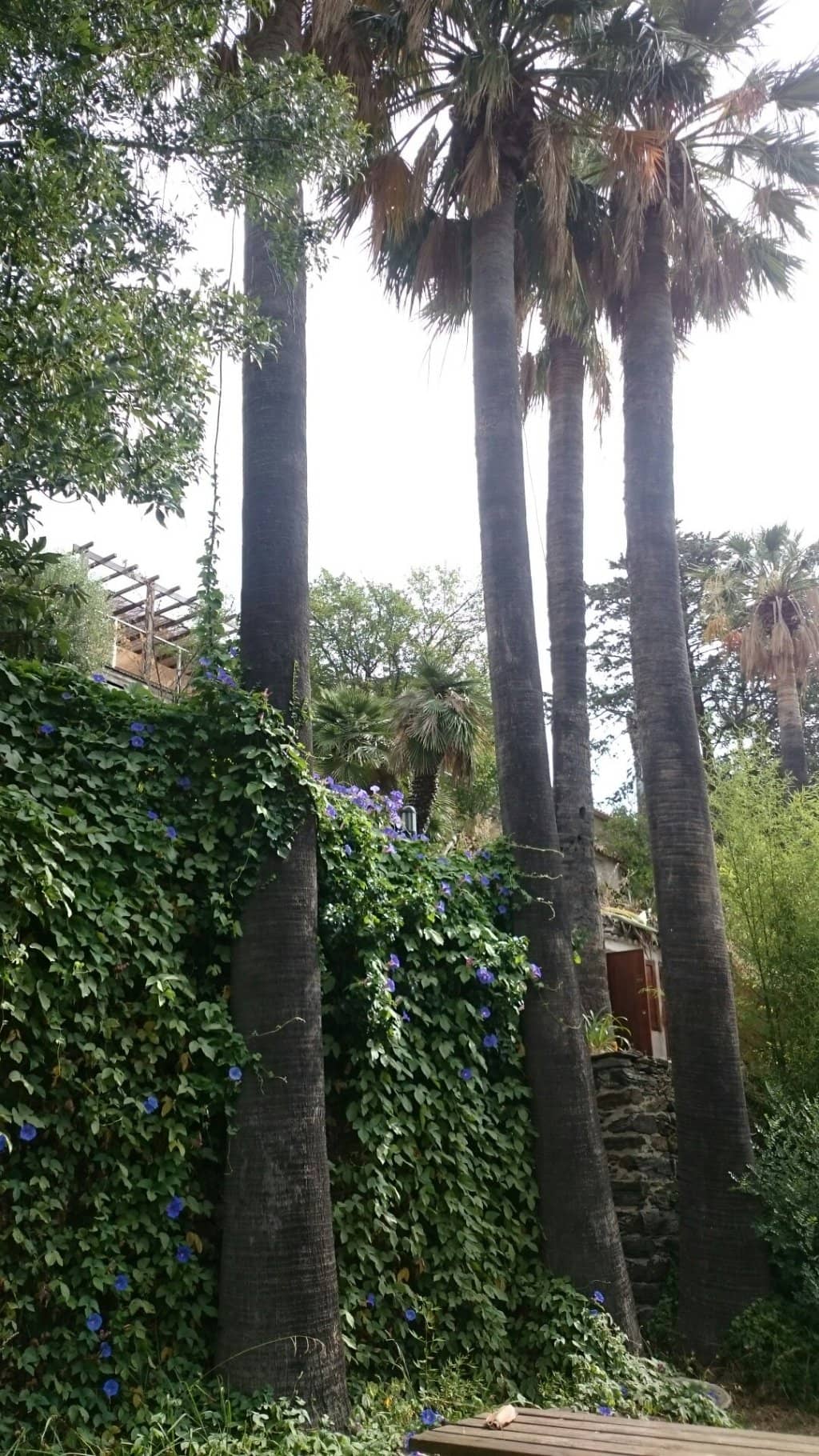 Expert-Led Guided Tours