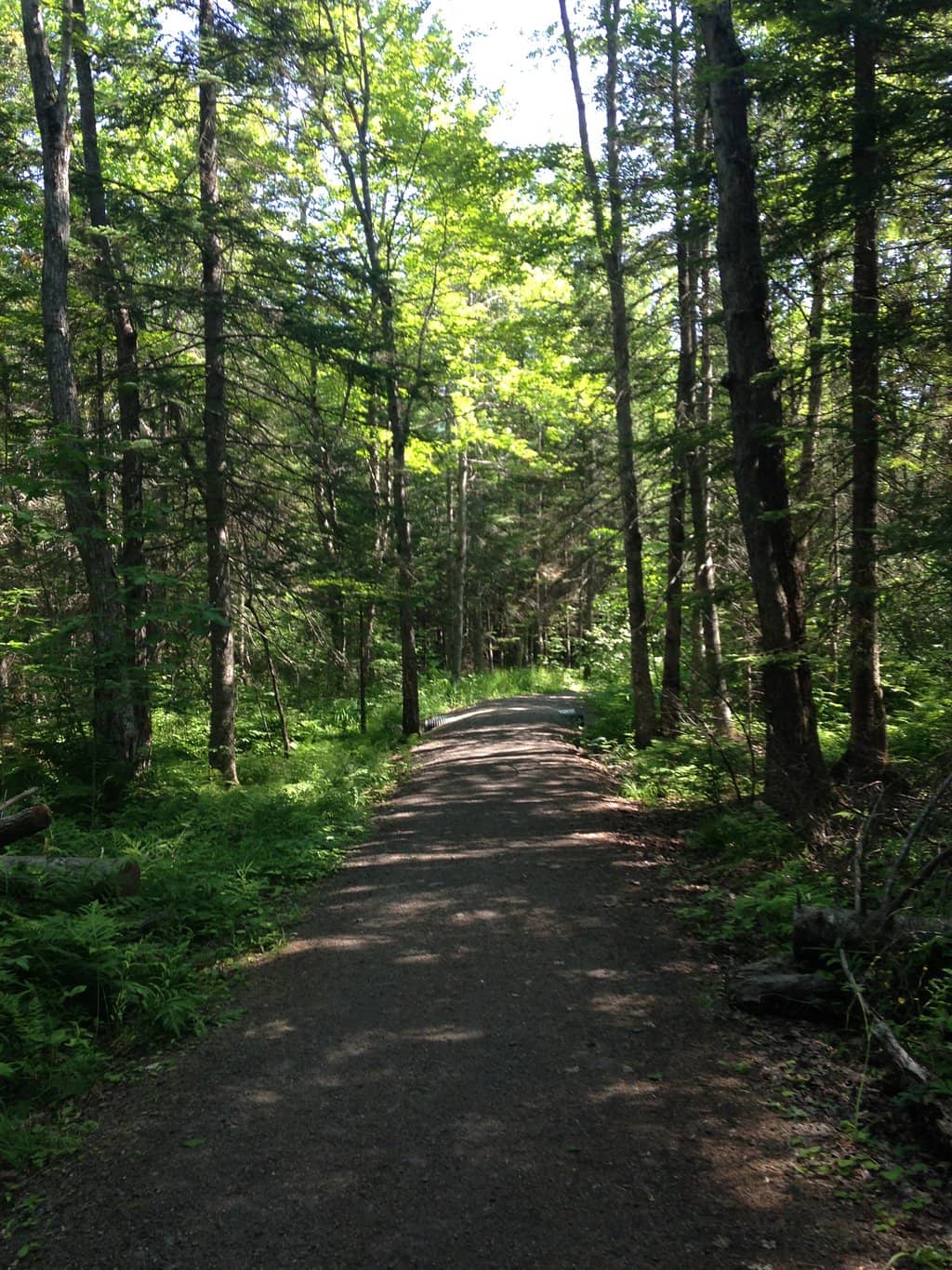 Shaded Hiking Trails