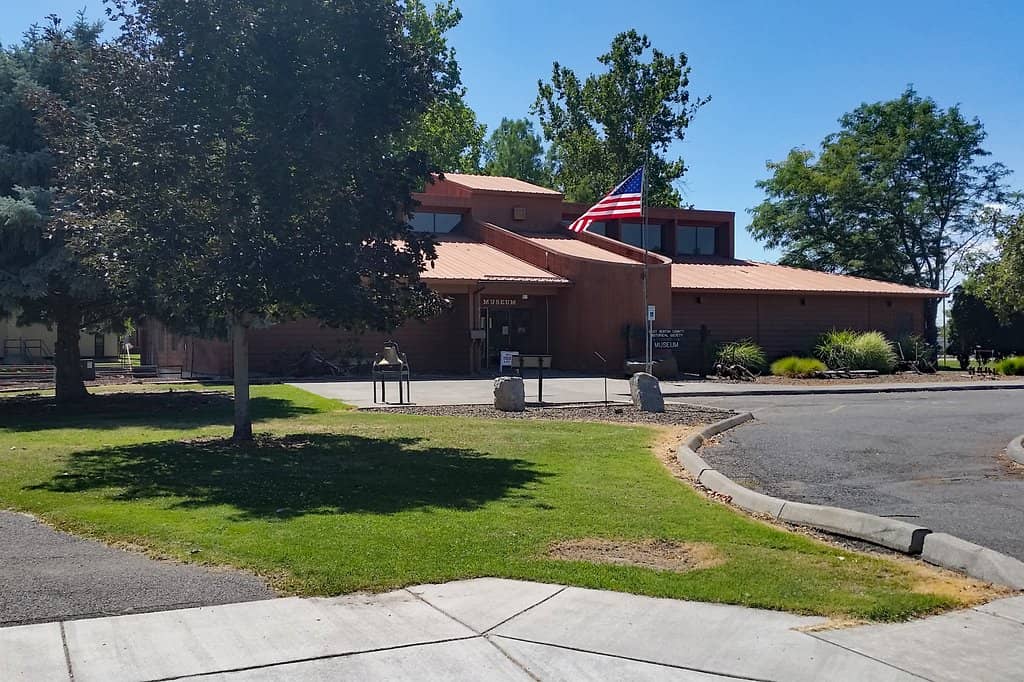 Petrified Wood Floor
