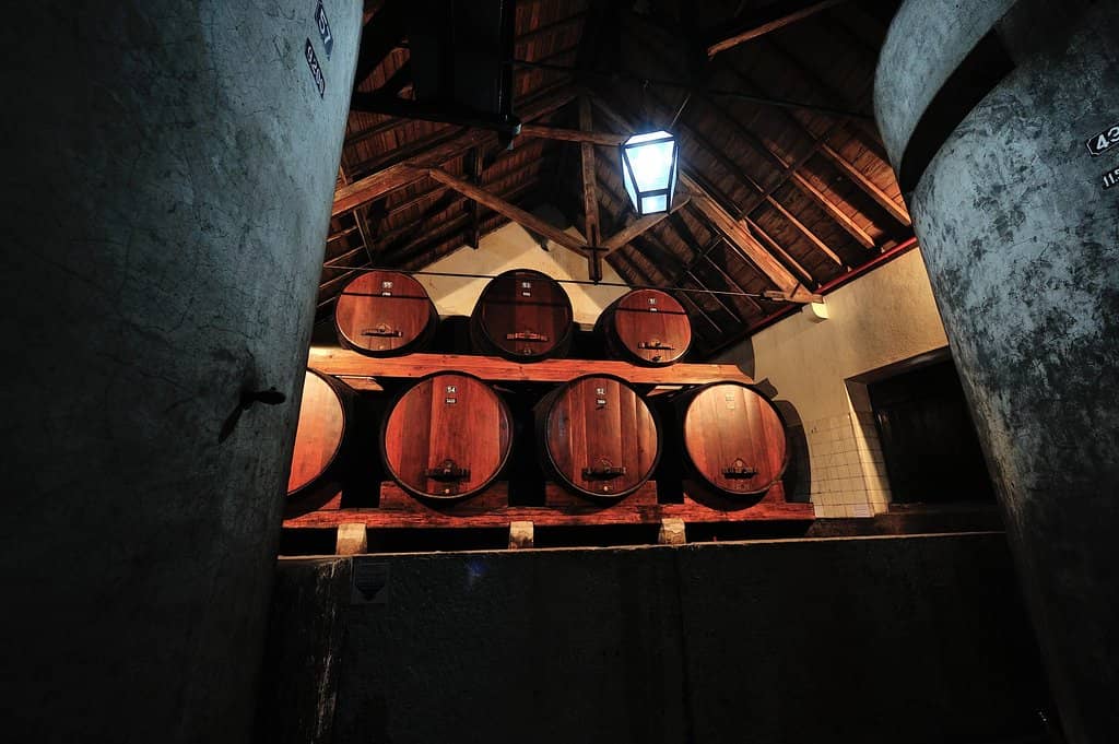 Cheese & Wine Combination Tour