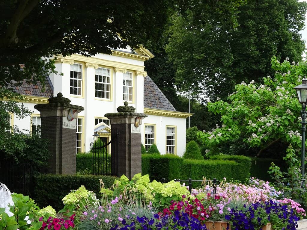 Restored Footage Experience