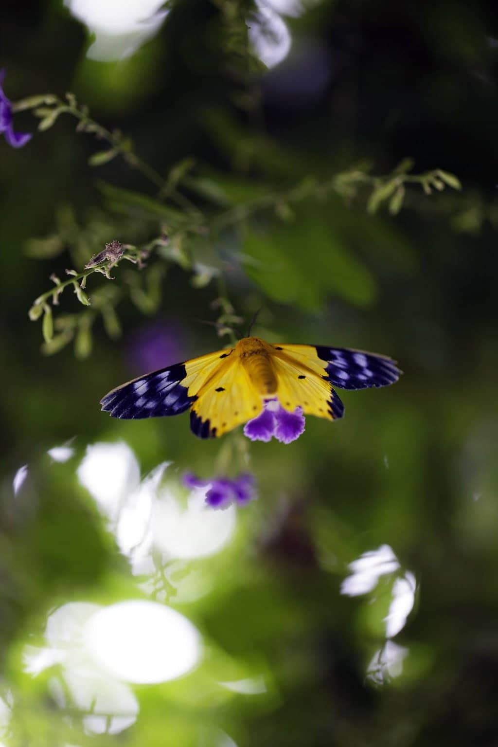 Interactive Encounters