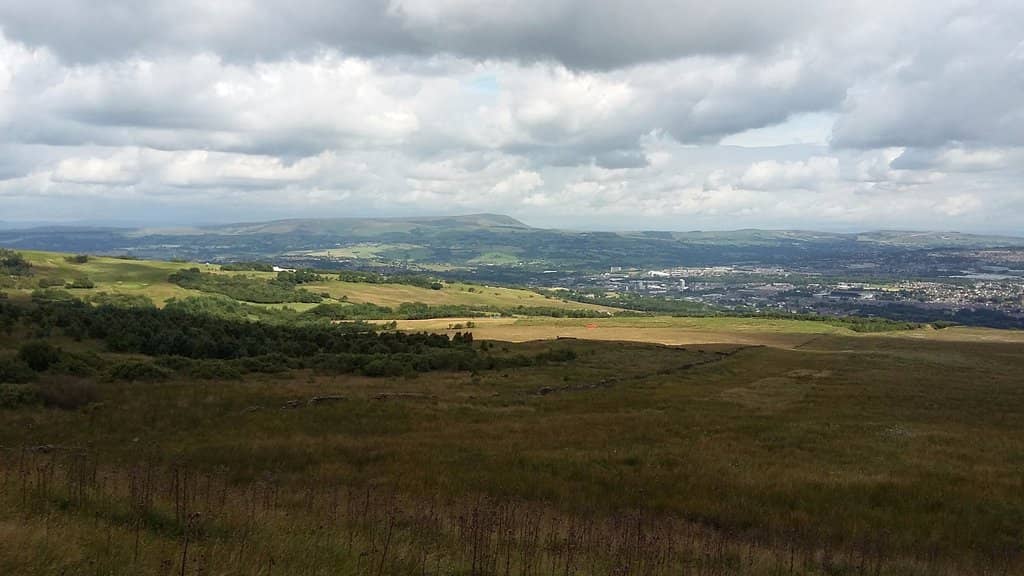 Unique Steel Tree Sculpture