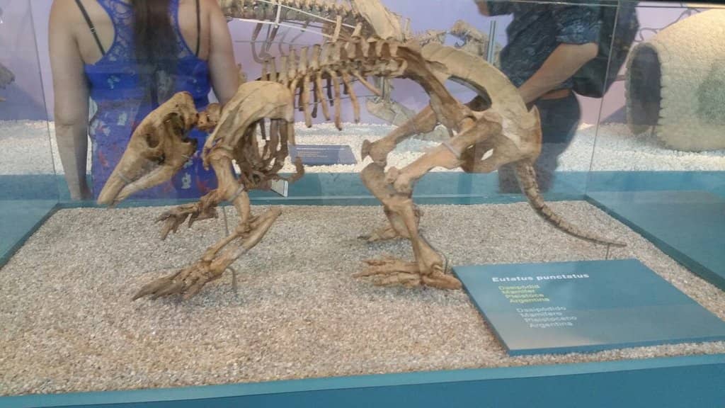 Burke Baker Planetarium