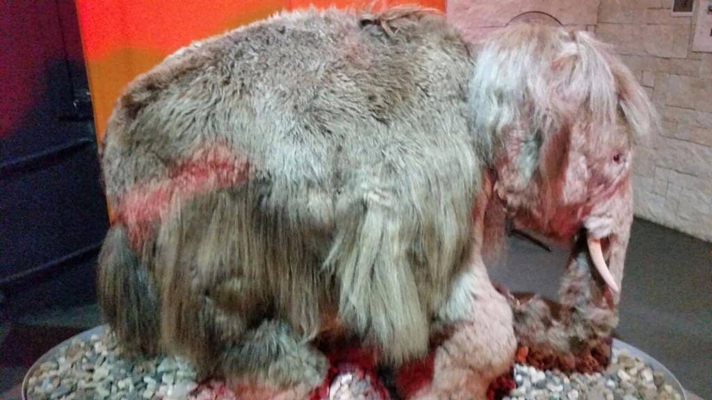 Interactive Exhibits