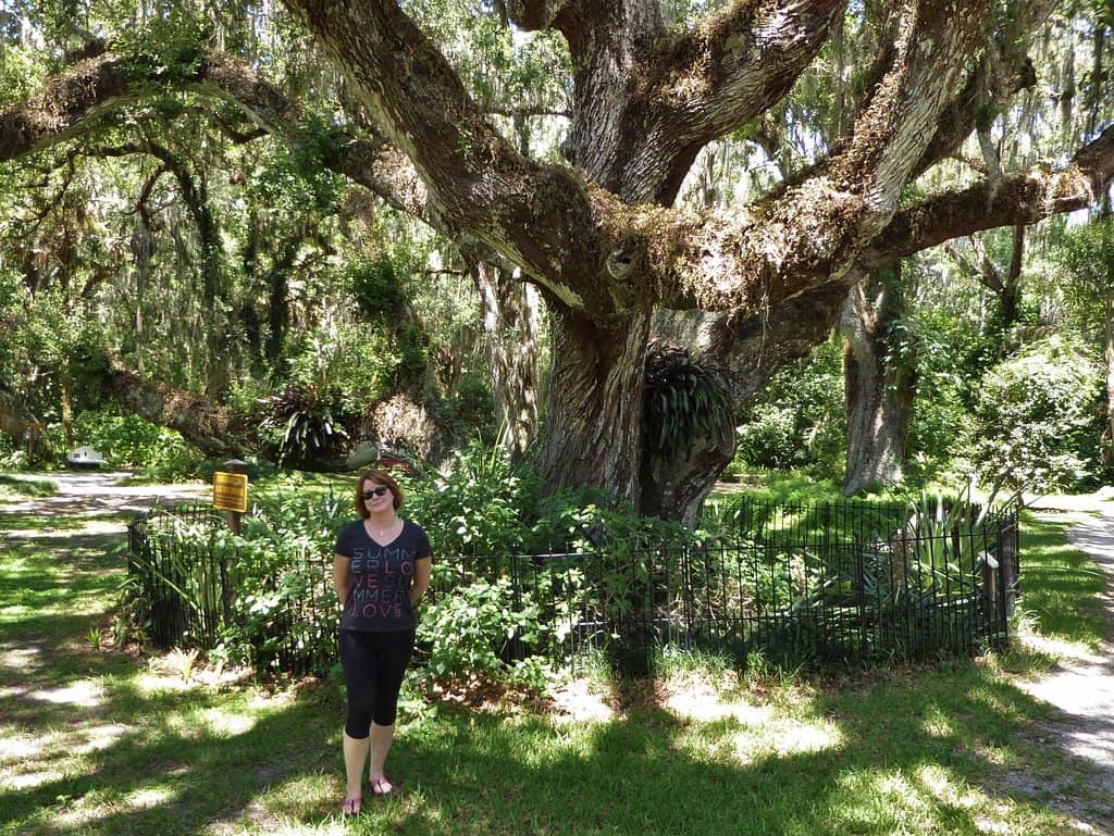 Bongoland Dinosaur Ruins