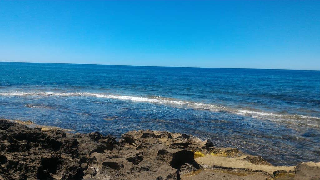 Scenic Coastal Walks