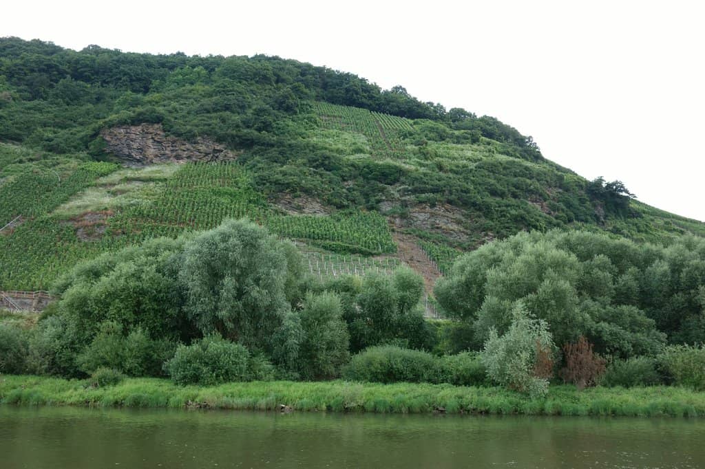 Moselle River Cruise