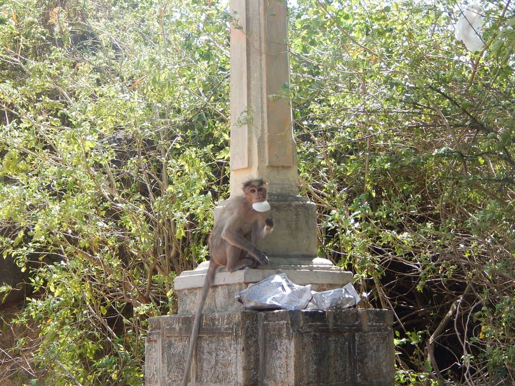 Unique Dam and Waterfall Combo