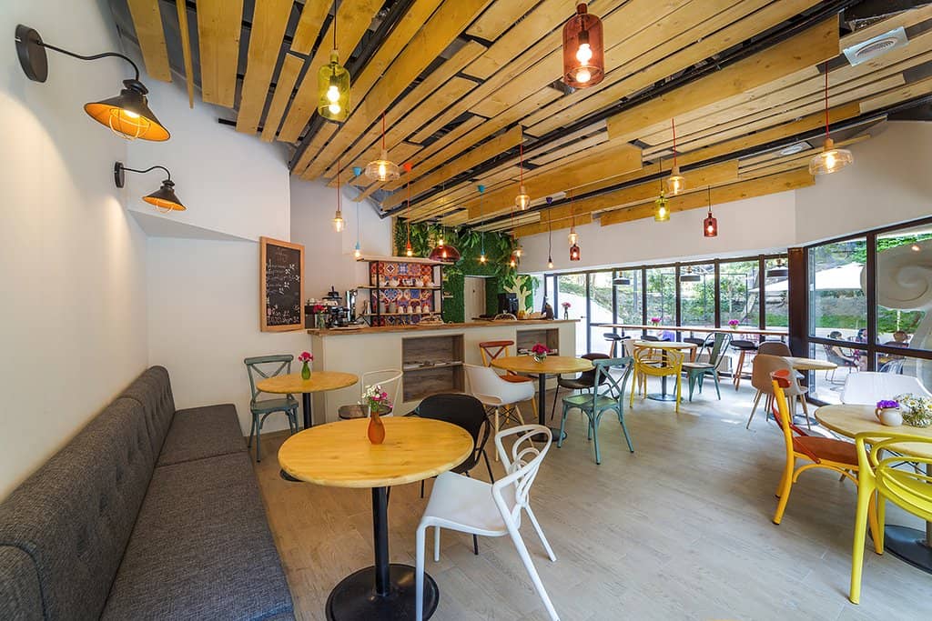 Scenic Walking Paths