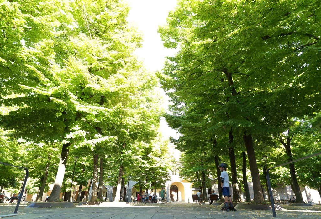 Historic Architecture