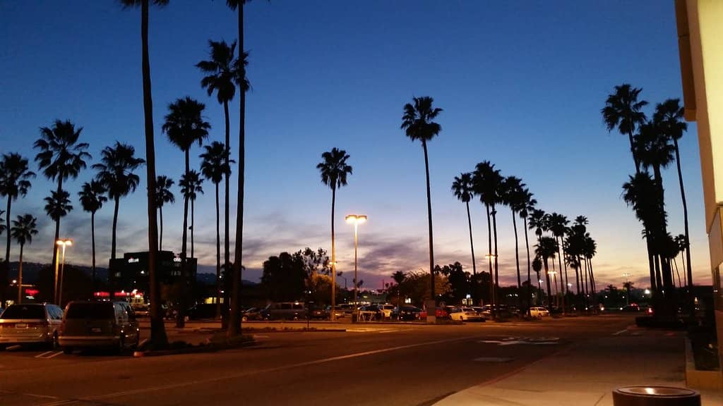 CHAGEE USA Grand Opening