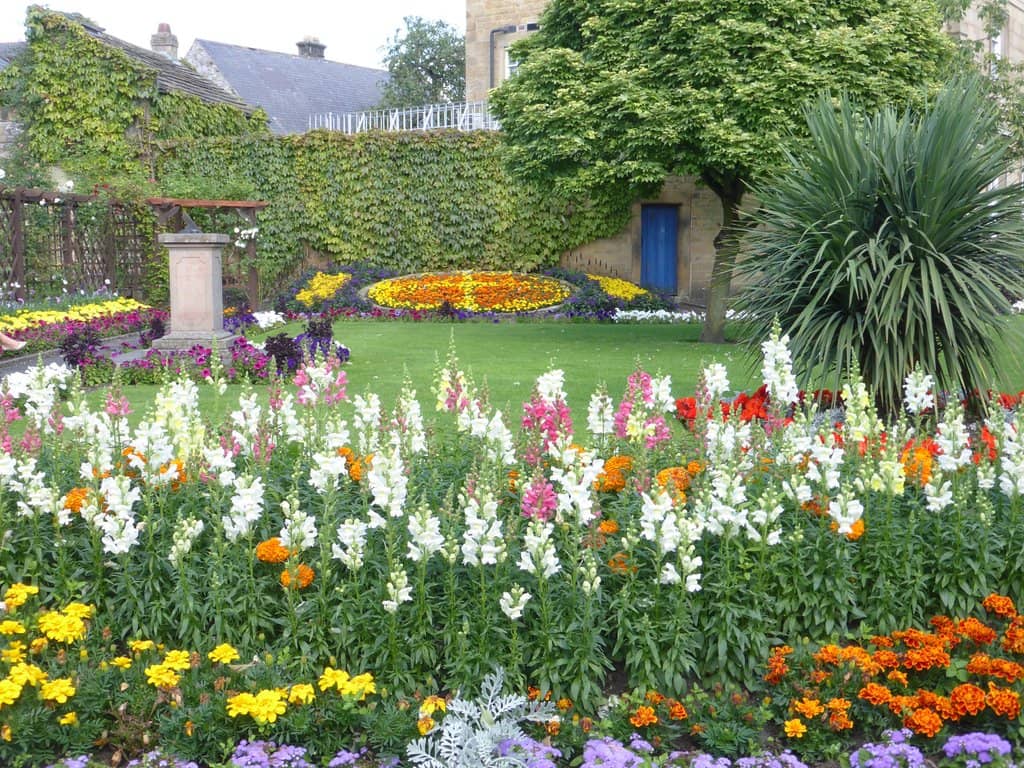 Vibrant Floral Displays