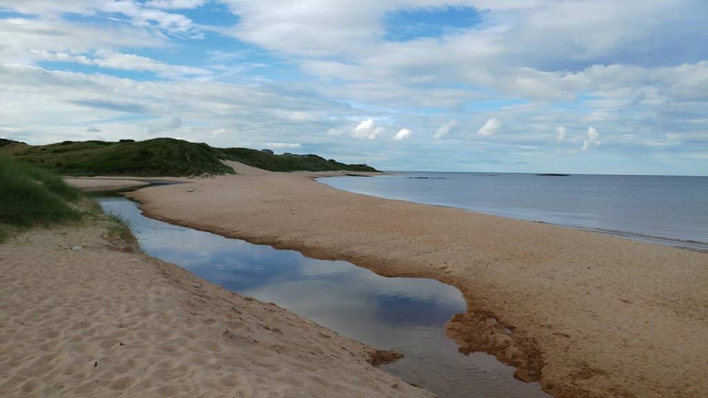 Expansive Sandy Shores