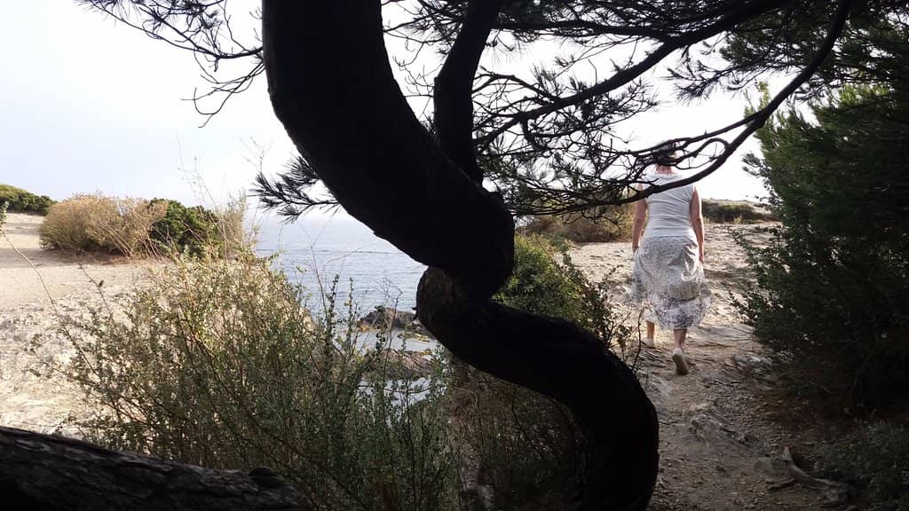 Lagoon and Sea Contrast