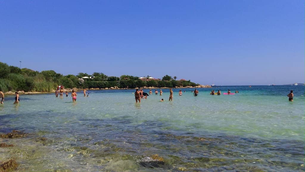 Fine Sand and Grassy Areas