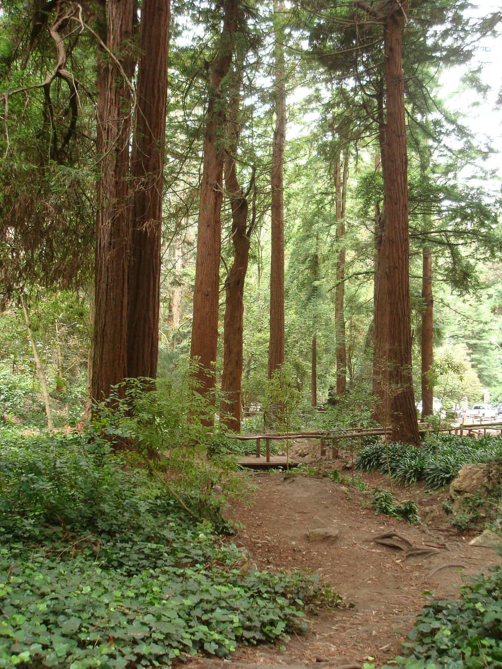 West Portal Pumpkin Patch
