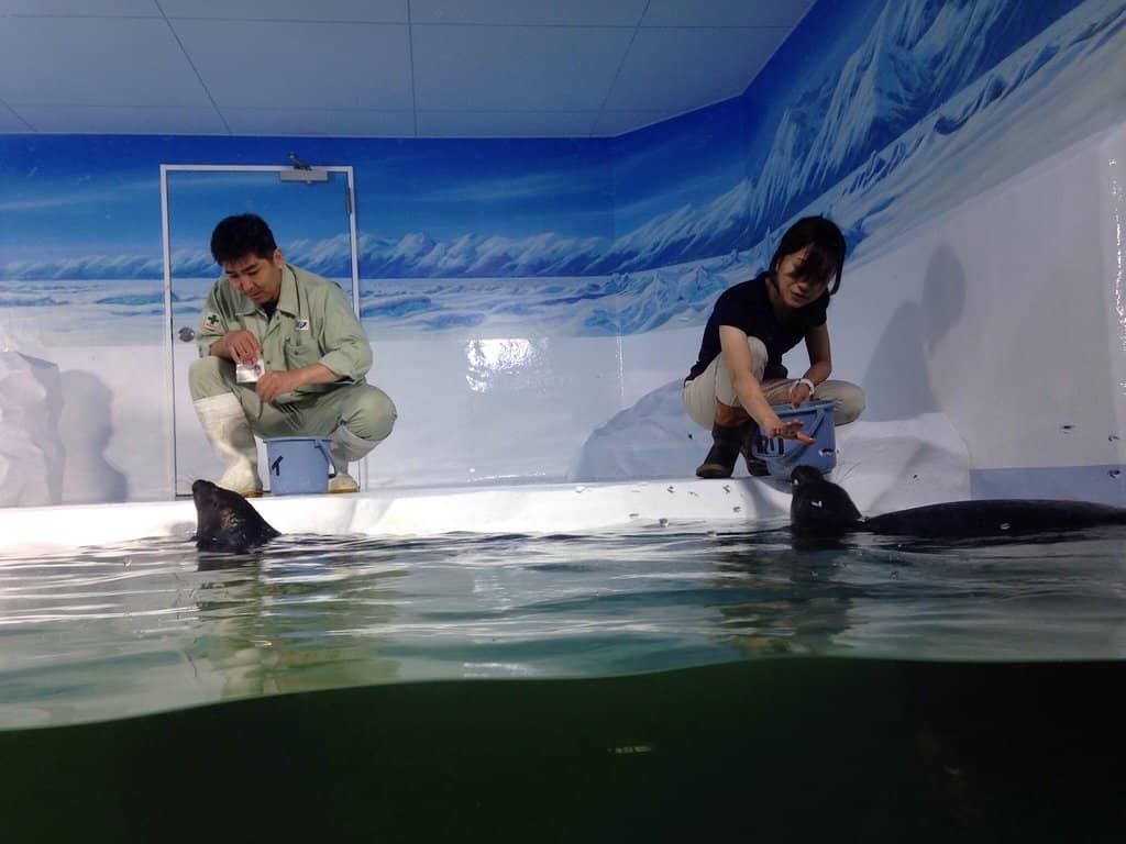 Interactive Science Exhibits