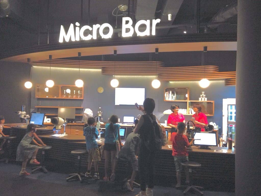 Botanical Garden Serenity