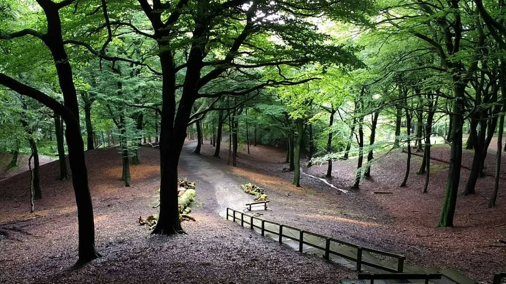 Family-Friendly Playgrounds