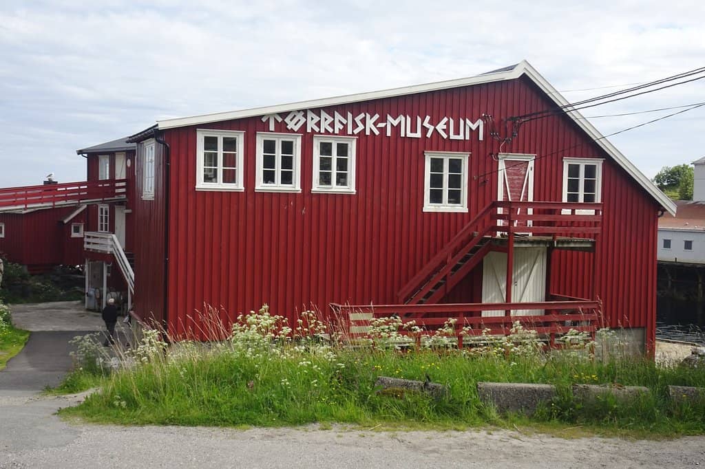 The Stockfish Saga