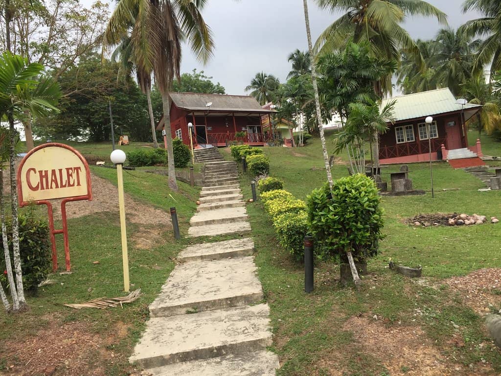 Exotic Fruit Tasting