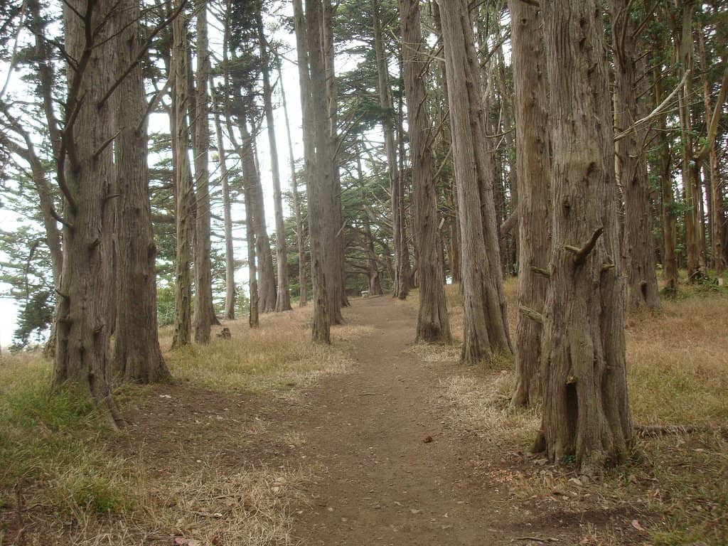Jerry Garcia Amphitheater