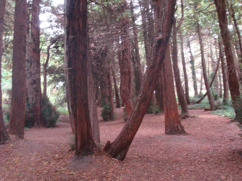 Philosopher's Way Trail