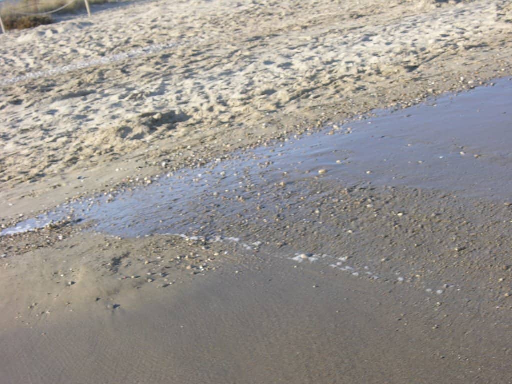 Coexisting Beach Zones