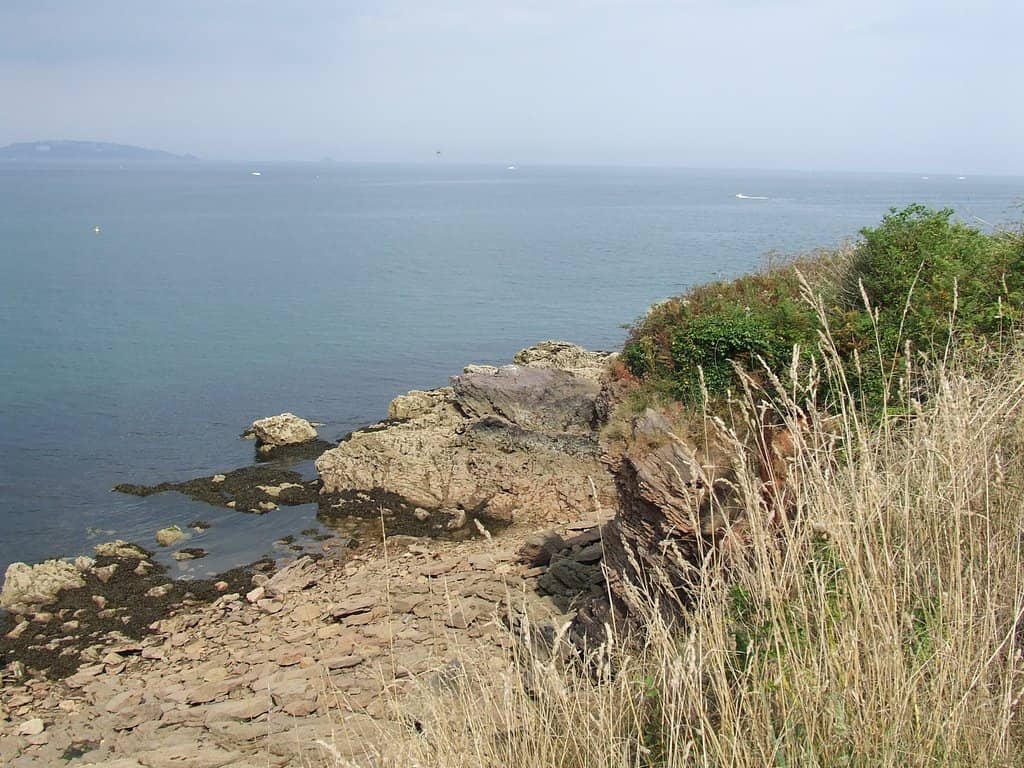 Rock Pool Exploration