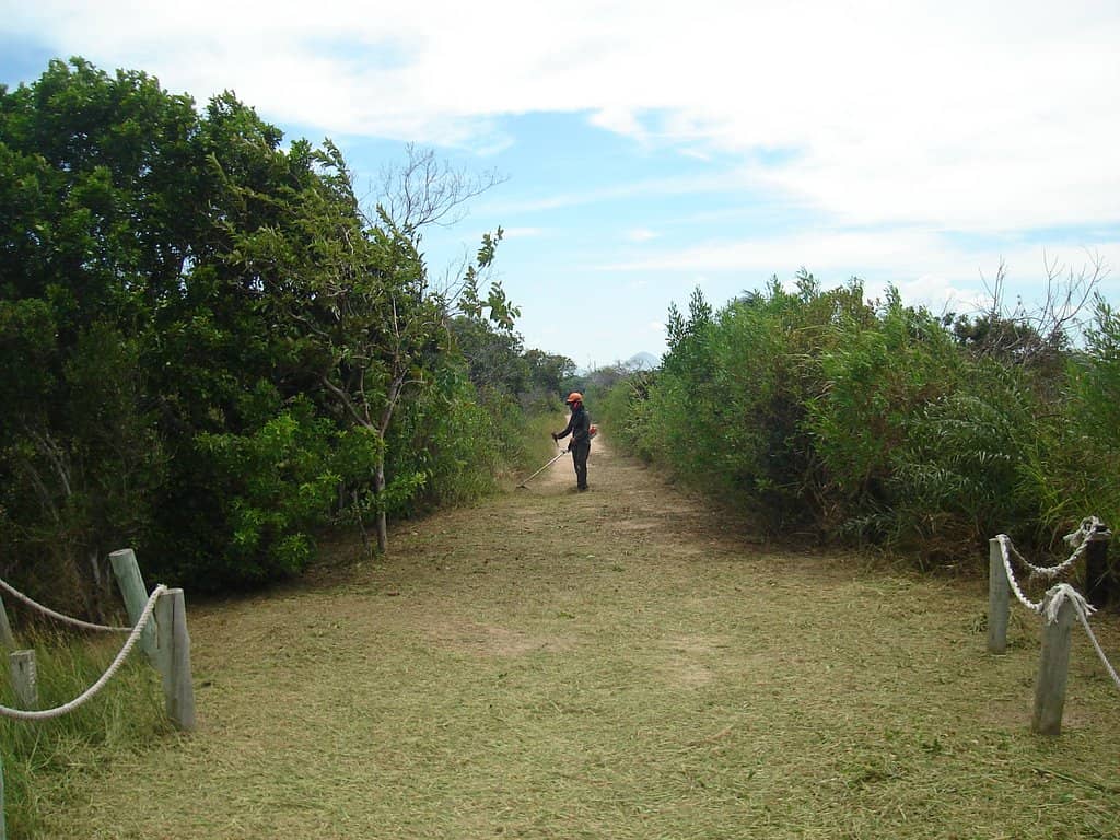 Restingas and Coastal Ecosystems